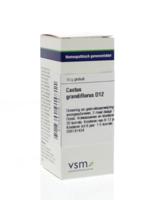 VSM Cactus grandiflorus D12 (10 gr) - thumbnail