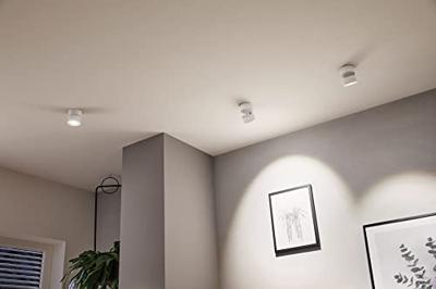 Paulmann 93373 Spircle LED-opbouwlamp LED LED vast ingebouwd 8 W Wit
