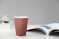 Viva Scandinavia Papercup Laura Koffiemok 0,2 L - thumbnail