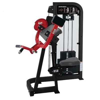 Hammer Strength Select Biceps Curl