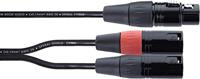 Cordial EY 0,3 FMM XLR Y-adapter [1x XLR-bus 3-polig - 2x XLR-stekker 3-polig] 0.30 m Zwart - thumbnail