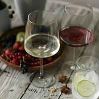 ZWIESEL GLAS - Vivid Senses - Waterglas nr. 42 - thumbnail