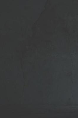 Man onder druk - Robin van der Haar - ebook