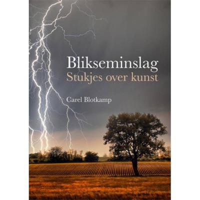 Blikseminslag (Paperback)