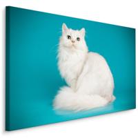 Schilderij - Witte Kat met Blauwe achtergrond, Premium print - thumbnail