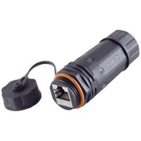 BKL Electronic RJ45-connector, CAT 6a, IP68, short, outdoor 10121209 Aantal polen (sensoren) 8 Zwart 1 stuk(s) - thumbnail