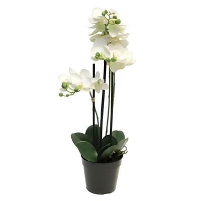 Phalaenopsis orchidee in pot 60 cm wit kunstplant Buitengewoon de Boet - Buitengewoon de boet