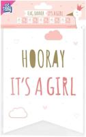 Paperdreams Vlag banner - newborn baby girl - thumbnail
