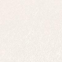 AS Creation Attractive 2 - Wit - 390302 - thumbnail