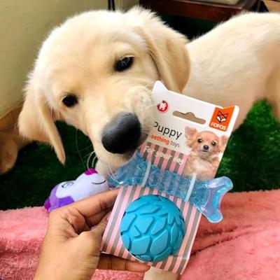 Fofos puppy bot en bal blauw - thumbnail