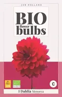 BIO Dahlia Menorca - thumbnail