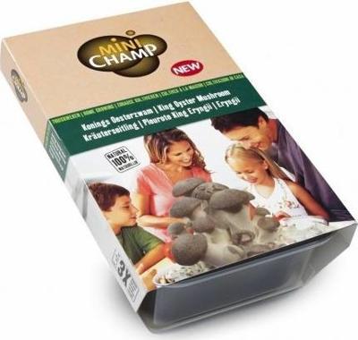 Koningsoesterzwam 3l JUB - Jub