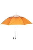 Paraplu bier print - thumbnail