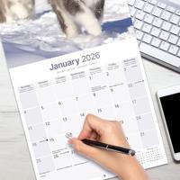 Alaskan Malamute Kalender 2026 - thumbnail