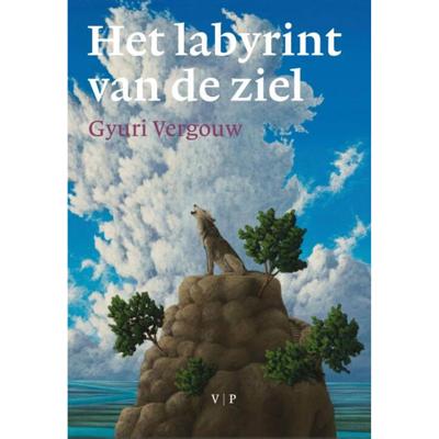 Het labyrint van de ziel (Paperback)