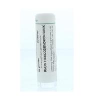 Homeoden Heel Rhus toxicodendron 50MK 6 Gram - thumbnail