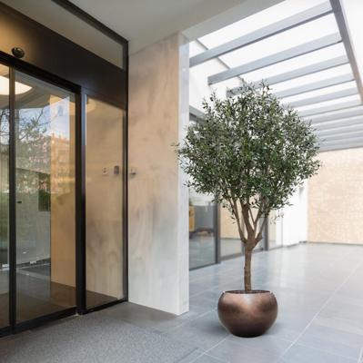 Olijf Kunstboom XL 250cm Deluxe