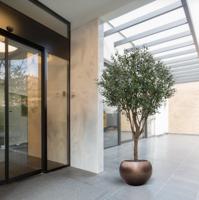 Olijf Kunstboom XL 250cm Deluxe - thumbnail