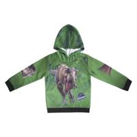 Jurassic Park Dino Hoodie 7-8 Jaar 122-128 cm - thumbnail