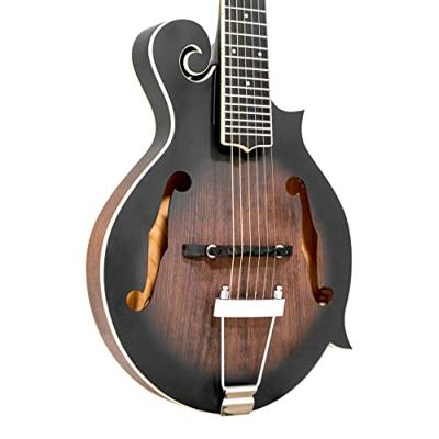 Gold Tone F-6 elektrische mando-guitar, met koffer