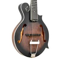 Gold Tone F-6 elektrische mando-guitar, met koffer - thumbnail