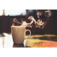 Delonghi SER3017 Waterfilter Voor ECAM Espresso-Apparaten - thumbnail