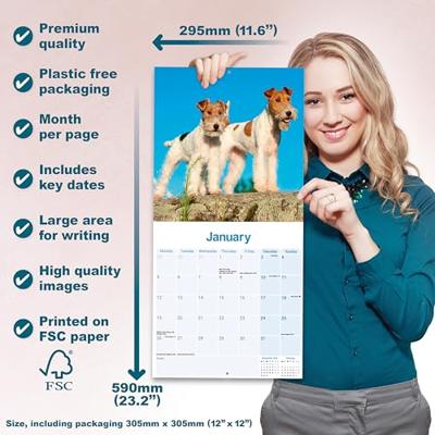 Fox Terrier Wirehaired Calendar 2026 Square Dog Breed Wall Calendar - 16 Month