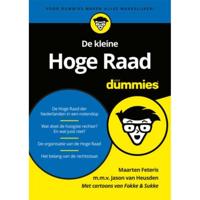 De kleine Hoge Raad voor Dummies - Jason van Heusden, Maarten Feteris - Paperback (9789045355887) - thumbnail