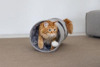 Designed by Lotte kattentunnel Cylla grijs