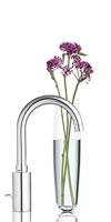 GROHE Eurostyle Cosmopolitan wastafelkraan L-size met afvoerplug met hoge draaibare uitloop chroom 23043003 - thumbnail