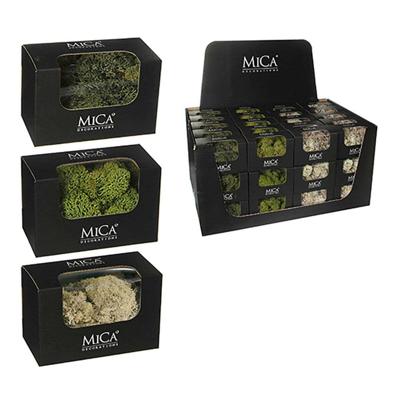 Decoratieve plant Mica Decorations 50 g Mos