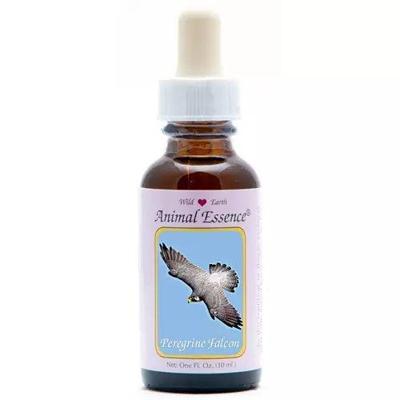 Animal Essences Peregrine falcon (slechtvalk) 30 Milliliter Animal Essences Peregrine falcon (slechtvalk) 30 Milliliter