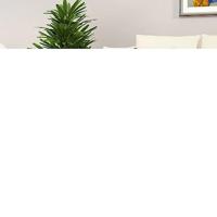 Salontafel 80x80x36,5 cm bewerkt hout grijs sonoma eikenkleurig - thumbnail