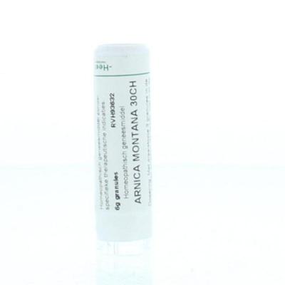 Arnica montana 30CH 6 Gram