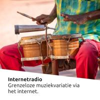 TechniSat TECHNIRADIO 6 IR Draagbare internetradio (DAB+, FM, WLAN, Bluetooth, kleurendisplay, wekker, app-bediening, favorietengeheugen, 3 watt RMS) wit/zwart - thumbnail