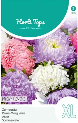 Zaden Callistephus Zomeraster pioenbloemig gemengd Hortitops - Hortitops