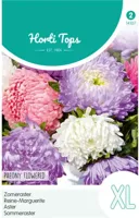Zaden Callistephus Zomeraster pioenbloemig gemengd Hortitops - Hortitops - thumbnail