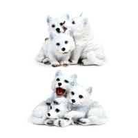 Wolf Puppy Trio - thumbnail