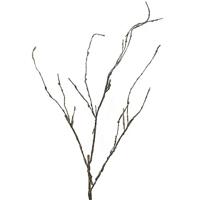 Wood Twig Cordata 95 cm kunsttak Erutan Avon - Erutan avon - thumbnail