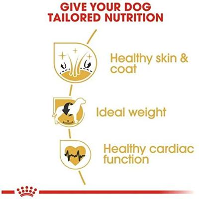 Royal Canin Cocker Adult hondenvoer 12kg
