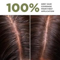 Lazartigue La Couleur Absolue Permanent Haircolour Mahogany Gold 5.35 Set - thumbnail