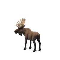 Schleich elandstier 14781 - thumbnail