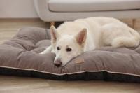 Kerbl Pet Ligkussen Benno, bruin, 80x60 cm - thumbnail