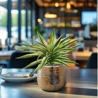 Draceana Kunstplant Bont 30cm - thumbnail