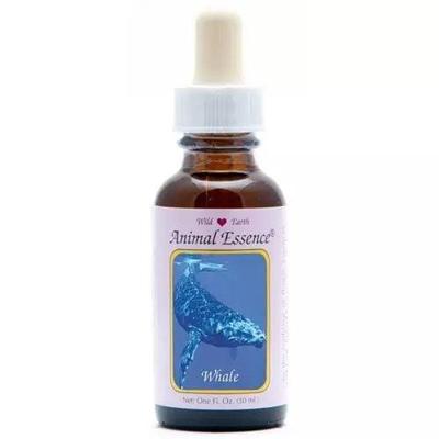 Animal Essences Whale (walvis) 30 Milliliter