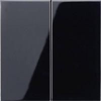 Jung LS995SW Serieschakelaar, Serietoets Afdekking 1-voudig Zwart 1 stuk(s) - thumbnail