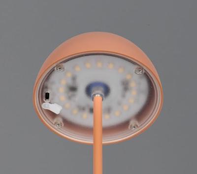 Trio Oplaadbaar tafellampjeOrtiz oranje - R55601140