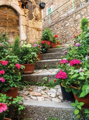 Tuinschilderij trap 70x50cm bruin Customize-IT - Customize it