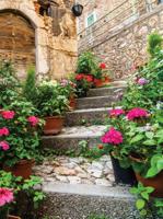 Tuinschilderij trap 70x50cm bruin Customize-IT - Customize it - thumbnail