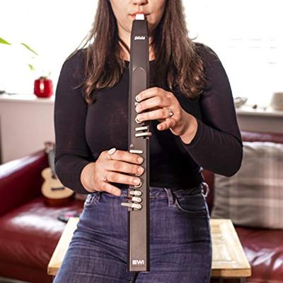 Akai Professional EWI5000 draadloos elektronisch blaasinstrument